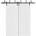 Barn Bypass Doors with 6.6ft Hardware | Planum 0990 Painted White Matte | Sturdy Heavy Duty Rails Kit Steel Set | Double Sliding Door-36" x 80" (2* 18x80) Painted White