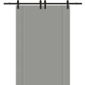 Modern Double Barn Door 36 x 80 inches | BASIC 0111 Dove Grey | 13FT Rail Track Set | Solid Panel Interior Doors Grey