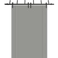 Sliding Closet Barn Bypass Doors 36 x 80 inches | BASIC 0111 Arctic White | Modern 6.6ft Rails Hardware Set | Wood Solid Bedroom Wardrobe Doors Grey