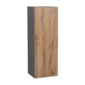 21" x 42" Wall Cabinet-Single Door-Grey Natural Teak