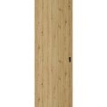 Hidden Barn | Basic 3001 Caramel Oak | Wood Veneer Doors | Magic Concealed Sliding Set | 32" x 80" Caramel Oak