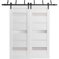 Barn Bypass Doors with 6.6ft Hardware | Quadro 4055 White Silk with Frosted Glass | Sturdy Heavy Duty Rails Kit Steel Set | Double Sliding Lite Panel Door White