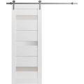 Sliding Barn Door with 6.6ft Hardware | Quadro 4055 White Silk with Frosted Glass | Rail Hangers Sturdy Silver Set | Lite Wooden Solid Panel Interior Doors White