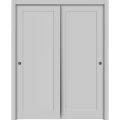 Sliding Closet Bypass Doors hardware | Quadro 4111 Matte Grey | Sturdy Rails Moldings Trims Set | Kitchen Lite Wooden Solid Bedroom Wardrobe Doors  Matte Grey