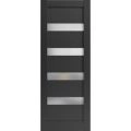 Lite Slab Barn Door Panel | Quadro 4113 Matte Black with Frosted Glass | Sturdy Finished Wooden Modern Doors | Pocket Closet Sliding Black Matte