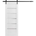 Sliding Barn Door with Hardware | Quadro 4117 White Silk with Frosted Glass | 6.6FT Rail Hangers Sturdy Set | Lite Wooden Solid Panel Interior Doors White
