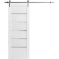 Sliding Barn Door with 6.6ft Hardware | Quadro 4117 White Silk with Frosted Glass | Rail Hangers Sturdy Silver Set | Lite Wooden Solid Panel Interior Doors White