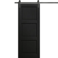 Modern Barn Door 18 x 80 inches | Ego 5010 Painted White Oak | 6.6FT Rail Track Heavy Hardware Set | Solid Panel Interior Doors EGO Painted Black Oak
