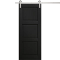 Modern Barn Door 18 x 80 inches | Ego 5010 Painted Black Oak | 6.6FT Silver Rail Track Heavy Hardware Set | Solid Panel Interior Doors EGO Painted Black Oak