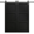 Modern Double Barn Door 36 x 80 inches | Ego 5010 Cognac Oak Veneer | 13FT Rail Track Set | Solid Panel Interior Doors EGO Painted Black Oak