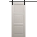 Modern Barn Door 18 x 80 inches | Ego 5010 Painted White Oak | 6.6FT Rail Track Heavy Hardware Set | Solid Panel Interior Doors EGO Painted White Oak