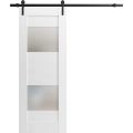 Modern Barn Door 2 Lites / Sete 6222 / 6.6FT Rail Track Heavy Hardware Set / Solid Panel Interior Doors-18" x 80" White