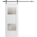Modern Barn Door 2 Lites / Sete 6222 / 6.6FT Rail Track Heavy Hardware Set / Solid Panel Interior Doors-18" x 80" White