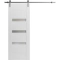 Modern Barn Door 2 Lites / Sete 6900 / 6.6FT Rail Track Heavy Hardware Set / Solid Panel Interior Doors-18" x 80" White
