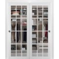 Sliding Closet Bypass Doors | Felicia 3355 Matte Black with Clear Glass | Sturdy Rails Moldings Trims Hardware Set | Wood Solid Bedroom Wardrobe Doors -36" x 80" (2* 18x80) White