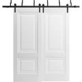 Sliding Closet Barn Bypass Doors | Lucia 8831 White Silk | Sturdy 6.6ft Rails Hardware Set | Wood Solid Bedroom Wardrobe Doors  White