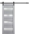 Sturdy Barn Door Frosted Glass | Veregio 7455 Matte Grey | 6.6FT Rail Hangers Heavy Hardware Set | Solid Panel Interior Doors-28" x 84" Matte Grey