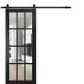 Sturdy Barn Door | Felicia 3355 Matte Black with Clear Glass | 6.6FT Rail Hangers Heavy Hardware Set | Solid Panel Interior Doors-36" x 80" Black Matte