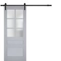 Sturdy Barn Door | Veregio 7339 Antracite with Frosted Glass | 6.6FT Rail Hangers Heavy Hardware Set | Solid Panel Interior Doors Matte Grey