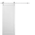 Sliding Barn Door with 6.6ft Hardware | Quadro 4115 White Silk | Rail Hangers Sturdy Silver Set | Wooden Solid Panel Interior Doors-24" x 80" White