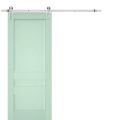 Sturdy Barn Door | Veregio 7411 Matte Grey | 6.6FT Rail Hangers Heavy Hardware Set | Solid Panel Interior Doors-36" x 80" Oliva