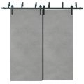Sliding Closet Barn Bypass Doors 36 x 80 inches | Planum 0010 Gloss Black | 6.6ft Rails Hardware Set | Wood Solid Bedroom Wardrobe Doors Concrete