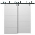 Barn Bypass Doors with 6.6ft Hardware | Planum 0770 Painted White Matte | Sturdy Heavy Duty Rails Kit Steel Set | Double Sliding Door Painted White