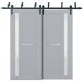 Sliding Closet Barn Bypass Doors with Frosted Glass | Veregio 7288 Light Grey Oak | Sturdy 6.6ft Rails Hardware Set | Wood Solid Bedroom Wardrobe Doors -56" x 96" (2* 28x96) Matte Grey