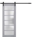 Sturdy Barn Door Frosted Glass | Veregio 7602 Matte Grey | 6.6FT Rail Hangers Heavy Hardware Set | Solid Panel Interior Doors-24" x 84" Matte Grey