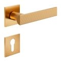 Door Euro Handle ANIK BRILLIANT02 for Magnetic Lock, Antique Satin Gold, Entry Antique Satin Gold
