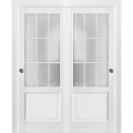 Sliding Closet Frosted Glass 9 Lites Bypass Doors | Felicia 3309 White Silk | Sturdy Rails Moldings Trims Hardware Set | Wood Solid Bedroom Wardrobe Doors -48" x 96" (2* 24x96) White