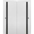 Sliding Closet Bypass Doors 48 x 80 inches | Planum 0040 Grey Oak with Black Glass | Sturdy Rails Moldings Trims Hardware Set | Wood Solid Bedroom Wardrobe Doors  White
