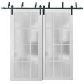 Sliding Closet 12 Lites Frosted Glass Barn Bypass Doors | Felicia 3312 White Silk | Sturdy 6.6ft Rails Hardware Set | Wood Solid Bedroom Wardrobe Doors -36" x 96" (2* 18x96) White