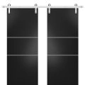 Sturdy Double Barn Door with Hardware | Planum 0110 Matte Black and Aluminum Strips | Silver 13FT Rail Hangers Heavy Set | Modern Solid Panel Interior Doors Black Matte