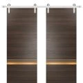 Sturdy Double Barn Door with Hardware | Planum 2010 Matte Black and Aluminum Strips | Silver 13FT Rail Hangers Heavy Set | Modern Solid Panel Interior Doors Chocolate Ash