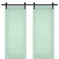 Sturdy Double Barn Door | Veregio 7411 Antracite | 13FT Rail Hangers Heavy Set | Solid Panel Interior Doors-84" x 80" (2* 42x80) Oliva
