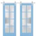 Sturdy Double Barn Door with Frosted Glass | Veregio 7412 Matte Grey | 13FT Rail Hangers Heavy Set | Solid Panel Interior Doors-84" x 80" (2* 42x80) Aquamarine