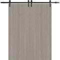 Modern Double Barn Door 36 x 80 inches | BASIC 3001 Antique Oak | 13FT Rail Track Set | Solid Panel Interior Doors Oak Franko