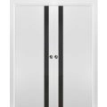 Sliding French Double Pocket Doors | Planum 0040 Matte Black with White Glass | Kit Trims Rail Hardware | Solid Wood Interior Bedroom Sturdy Doors White