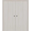 Sliding French Double Pocket Doors 60 x 84 inches | BASIC 3001 Antique Oak | Kit Rail Hardware | Solid Wood Interior Bedroom Modern Doors Ash Franko