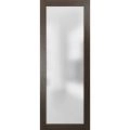 Slab Barn Door Panel | Planum 2102 Oak with Frosted Glass | Sturdy Finished Doors | Pocket Closet Sliding Chocolate Ash
