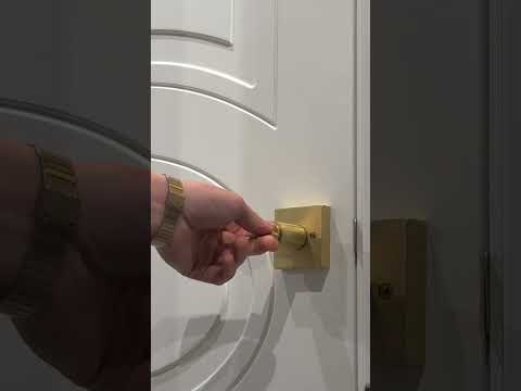 Looking for a great door?