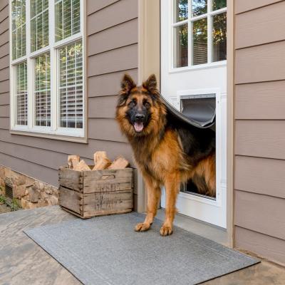 Pet-friendly doors: ensuring comfort and safety for your furry friends